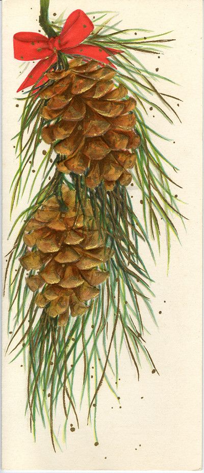 Christmas Ephemera, Watercolor Card, Christmas Past, Noel Christmas, Vintage Christmas Cards, Christmas Paintings, Christmas Illustration, Pine Cone, Christmas Images