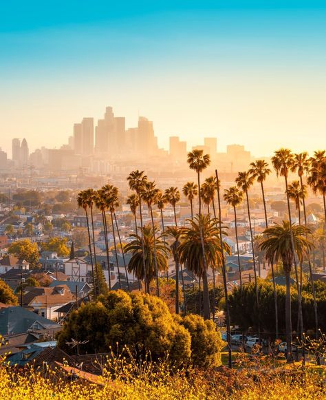 🌆 #LosAngelesSkyline 🌇 Behold the iconic skyline of Los Angeles aglow during sunset, a mesmerizing display of urban brilliance against the backdrop of the California sky. What’s your favorite city skyline? La Wallpaper, Los Angeles Cityscape, Firefighter Brotherhood, Firefighter Training, Firefighter Appreciation, City Pics, Los Angeles Skyline, Places To Visit In Italy, West Los Angeles