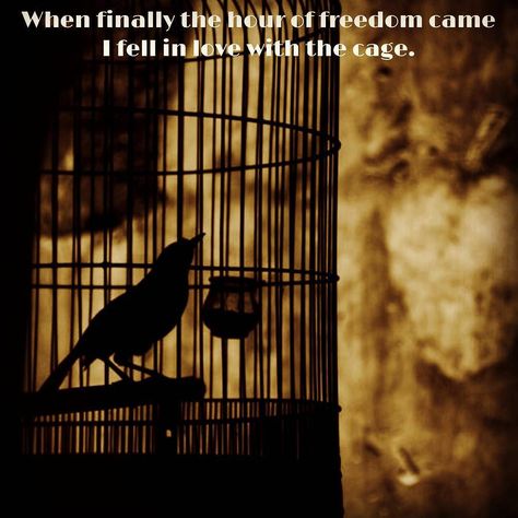 And when finally the hour of #freedom came I fell in #love with the #cage.  #wordgasm #wordporn #wordsmith #writing #creativewriting #story #write #poetry #poem #love #instapic #instagram #writersofinstagram #poetryisnotdead #poetrylovers #writersofig #instapoem #letters #spilledink #words #wordhour #soakedinpoetry#qotd #quote  Photo Credits: Stellarsky Anders Dragon Age, Flying Bird Silhouette, Bird In A Cage, Quote Photo, Write Poetry, The Caged Bird Sings, Bird Silhouette, Poetry Poem, Arte Obscura