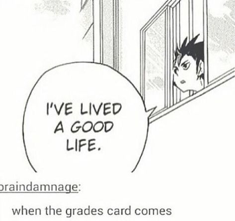 Grades Card, The Story, Funny