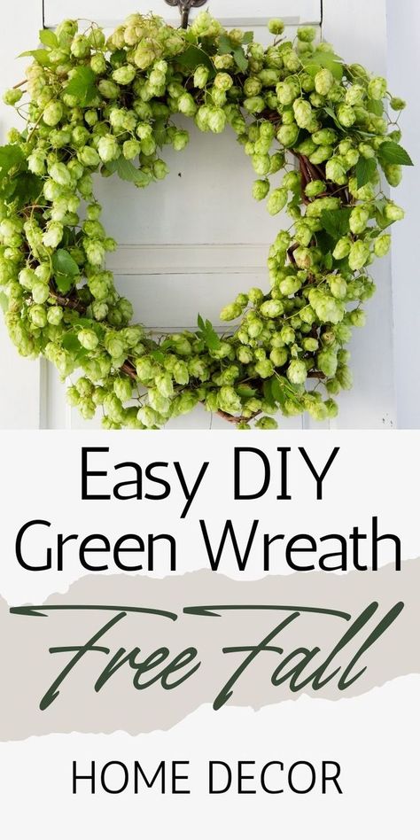 One image of a DIY hops wreath made on a grapevine wreath and hanging on a white door. With text overlay easy diy green wreath - free fall home decor. Hops Wreath, Hops Vine, Homemade Wreath, Wreath For Fall, Homemade Wreaths, Fun Fall Crafts, Foliage Wreath, Diy Fall Wreath, Fall Craft