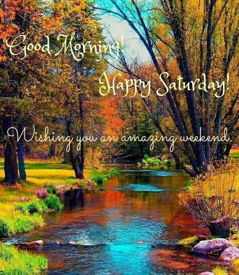 Happy Saturday Images, Saturday Blessings, Saturday Images, In Loving Memory Quotes, Good Morning Happy Saturday, Daily Greetings, Pet Turtle, Good Morning Flowers Quotes, Good Morning My Love