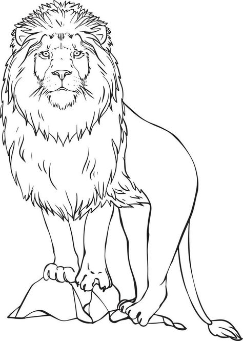 Lion Black And White, Lion Black, Thailand Tattoo, Lion Drawing, Black And White Vector, Drawing Wallpaper, White Drawing, Cartoon Tattoos, Tableau Art