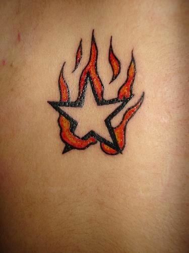 Llama Tattoo, On Fire Tattoo, Mythological Animals, Bunny Tattoos, Flame Tattoos, Star Tattoo Designs, Fire Tattoo, Cool Bugs, Human Evolution