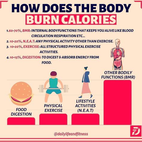 This is where the body burns calories from . Follow us for daily advice . . Visit blinklift.com for articles about health and fitness 💪 Group Reference, 1000 Calories A Day, Burn 1000 Calories, Daily Advice, 2000 Calories A Day, Fruit Recipes Healthy, Lose Thigh Fat, Exercise Activities, 1000 Calories