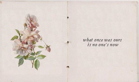 Aesthetic Words, Taylor Swift Lyrics, Aesthetic Themes, Quote Aesthetic, Pretty Words, Pretty Quotes, Cute Icons, Book Quotes, Cute Wallpapers