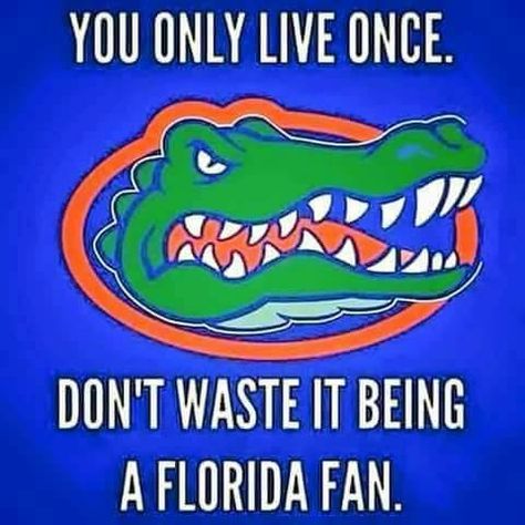 Florida Gators Florida Gator Memes, College Football Memes, Tn Football, Florida Gators Football, Fsu Seminoles, Gators Football, Florida Gator, Funny Football, Alabama Roll Tide