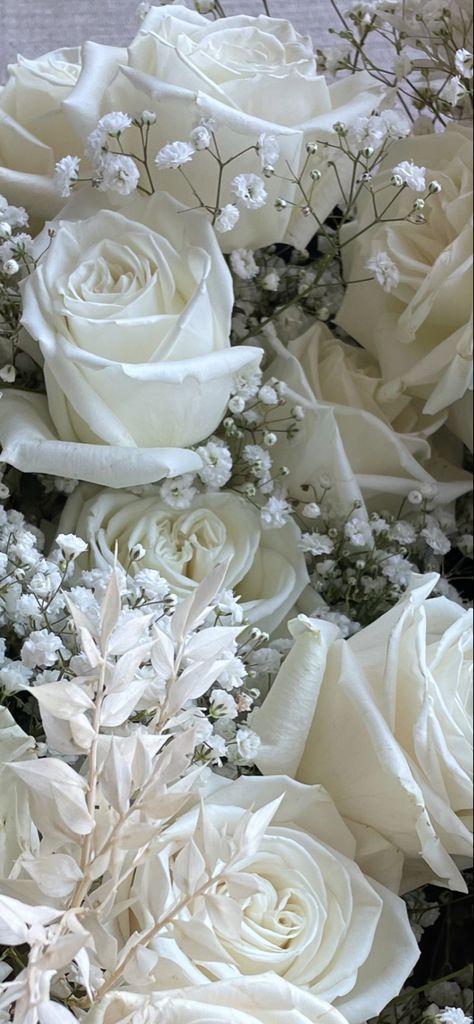 White roses and babies breath. Thats it! 🤍✨ White Roses And Babysbreath, White Floral Arrangements, Cascading Bridal Bouquets, All White Wedding, Babies Breath, Baby Breath, Wedding 2024, Wedding Vibes, Swan Lake