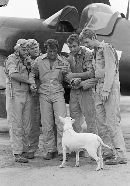 Ross Martin, Black Sheep Squadron, 70s Boys, Invasion Of Poland, Robert Conrad, Baa Baa Black Sheep, Ww2 Photos, Bull Terriers, Old Tv Shows