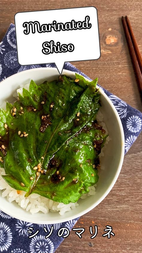 Shisho Leaf Recipe, Shiso Leaves Recipe, Shiso Pesto Recipe, Seaweed With Rice, Pickled Shiso Leaves, Shiso Recipe, Perilla Leaves Kimchi, White Rice Recipes, Garden Recipes