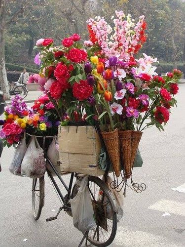 VENDEDOR DE FLORES PARIS Flower Vendor, Flower Cart, I Love Paris, Arte Floral, Flower Market, Beautiful Blooms, Love Flowers, My Flower, Flower Shop