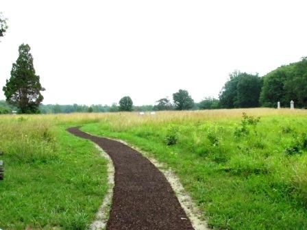 Rubber Mulch Walkway, Mulch Walkway, Mulch Pathway, Playground Backyard Landscaping, Environmental Signage, Realistic House, Natural Playgrounds, Rubber Mulch, Walking Path