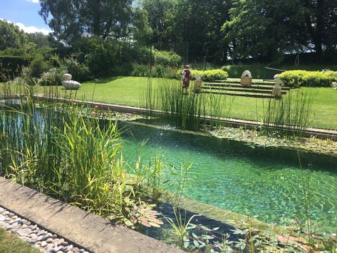 Swimming Pool Pond, Natural Swimming Ponds, Swimming Pond, Natural Pond, Natural Swimming Pools, Natural Swimming Pool, Dream Pools, Natural Pool, Dream Backyard