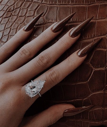 Burgundy Stiletto Nails, Brown Stiletto Nails, Long Sharp Nails, Pretty Girlfriend, Matte Stiletto Nails, Stilleto Nails Designs, Mauve Nails, Acrylic Nail Shapes, Pointy Nails