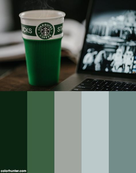 Starbucks Color Palette, Starbucks Colour Palette, Cafe Colour Palette Coffee Shop, Coffee Hex Code, Coffee Pallete Color, Color Palette For Coffee Brand, Macbook Colors, Starbucks Green, Starbucks Menu