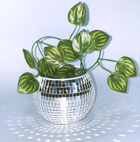 PRICES MAY VARY. Mirror Disco Ball Planter:This cute and trendy disco ball vase is made of glass cup and handmade glass pieces.shiny craftwork,looks amazing when the sun catches it.and these disco balls work not only as flower vases to hold real flowers, artificial bouquets, and dried flowers, but also can be tealight candleholders to add a fun element to your party or home Mirror Ball Planter Size:10*12*12cm/4*5*5inch.disco pot' opening of 9 cm,glass pieces is 5mm.the cute disco planter pot' si Disco Ball Vase, Floral Herbs, Disco Planter, Disco Ball Planter, Disco Ball Decor, Planting Succulents Indoors, Wedding Designers, Disco Decorations, Glass Glue