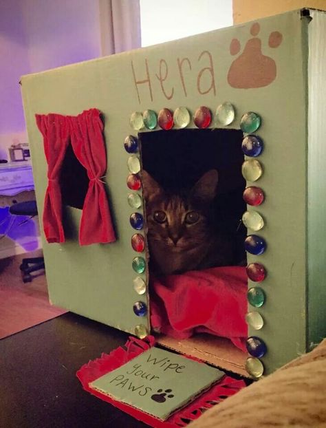 Cat house out of cardboard box, paints, an old tshirt, grocery bags (for crinkle sounds) and glass beads. That's one happy kitty. ☺ House Out Of Cardboard, Cat Accessories Diy, Diy Cat House, Old Tshirt, Cardboard Cat House, Happy Kitty, Homemade Cat Toys, Cat House Diy, Diy Cat Toys