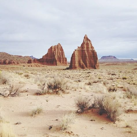 Aristotle And Dante, Puzzle Collection, Into The West, Capitol Reef, Desert Dream, Capitol Reef National Park, Desert Vibes, Salvador Dali, Desert Landscaping