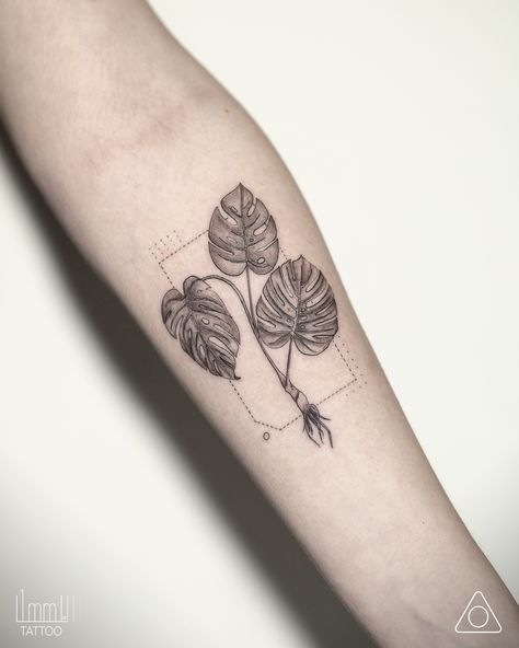 Monteras Plant Tattoo, Monstera Fine Line Tattoo, Philodendron Tattoo, Alocasia Tattoo, Fine Line Plant Tattoo, Plants Tattoo Design, Monstera Tattoo Design, Monstera Deliciosa Tattoo, Monstera Tattoo