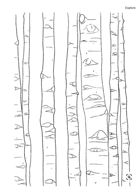 Birch Tree Art Lesson, How To Paint Aspen Trees, How To Draw A Birch Tree, How To Draw Birch Trees Step By Step, Painting Of Birch Trees, Aspen Trees Drawing, How To Draw Birch Trees, Easy Birch Tree Painting, How To Draw Aspen Trees