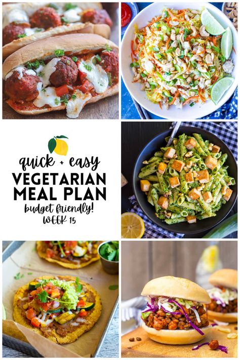 Veggie Egg Rolls, Vegetarian Sloppy Joes, Vegetarian Party, Vegetarian Party Food, Vegetarian Meatballs, Easy Quinoa, Budget Friendly Dinner, Vegetarian Meal Plan, Easy Meal Plans