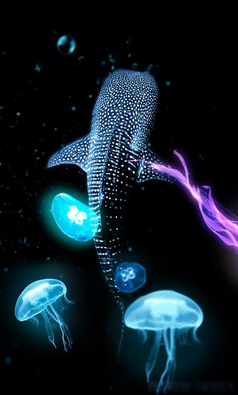 Bioluminescence Animals, Underwater Bioluminescent, Bioluminescent Fish, Bioluminescent Ocean, Bioluminescent Animals, Uv Photography, Folio Design, Underwater Wallpaper, Sea Creatures Art