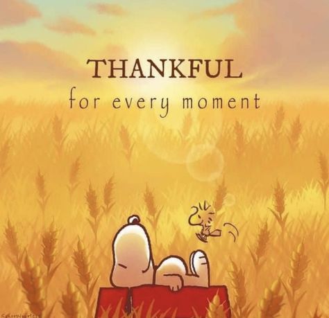 Happy New Month November, Workplace Motivation, Charlie Brown Thanksgiving, Good Morning Snoopy, Sending Love And Light, Peanuts Charlie Brown Snoopy, Happy Day Quotes, Happy November, Snoopy Images