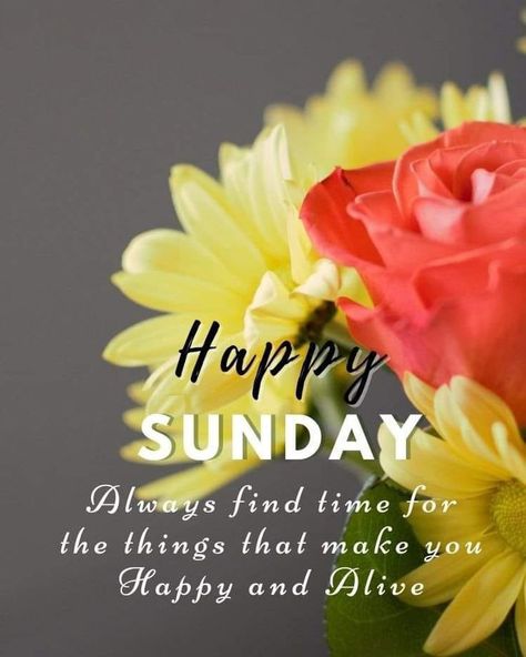 Blessings Sunday, Sunday Morning Images, Sunday Morning Wishes, Blessed Sunday Morning, Quotes Sunday, Weekend Wishes, Good Night Quotes Images, Happy Sunday Images, Good Morning Sunday Images