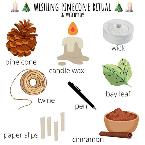 Tips for Witches Everywhere! ✨ on Instagram: “A pine cone wishing ritual for the new year to bring whatever you want to manifest into your life! 🎄 These were included in my Yuletide…” Spelt Recipes, Pagan Spirituality, Pine Cone Candles, Magic Spell Book, Energy Healing Spirituality, Witch Spell, Spell Book, Pine Cone, Pen And Paper