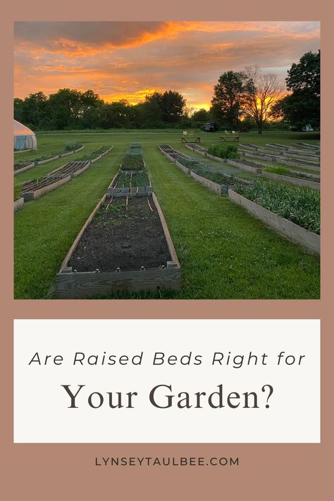 Flower Garden Beds, Growing Cut Flowers, Building Raised Beds, Flower Farming, Cut Flower Farm, Homesteading Ideas, Flower Bed Designs, Flower Farmer, Green Pasture