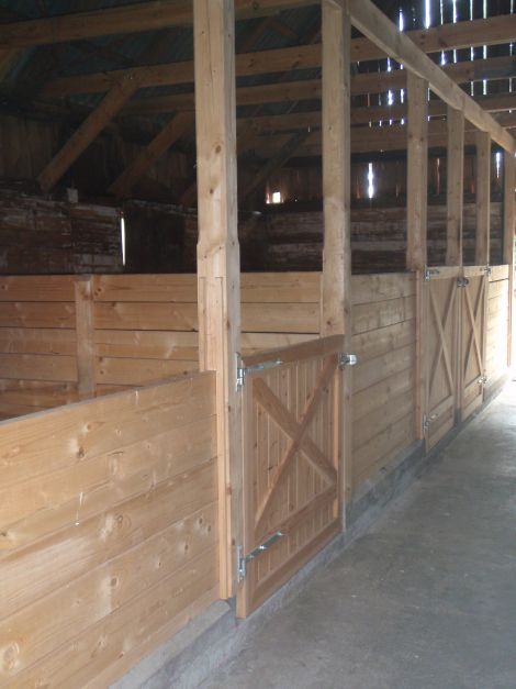 Equine Stables, Barn Remodel, Barn Layout, Goat Shelter, Horse Farm Ideas, Diy Horse Barn, Diy Patio Pavers, Backyard Barn, Barn Stalls