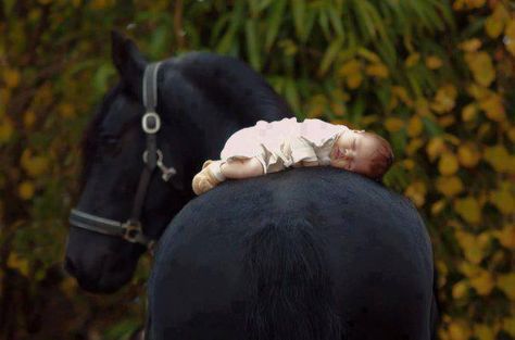 I will have a horse and baby like this when I grow up. Christmas Pregnancy Photos, Expecting Photos, Newborn Shoot, Newborn Photoshoot, Newborn Pictures, Horse Photography, Baby Photoshoot, Newborn Session, Kids Pictures