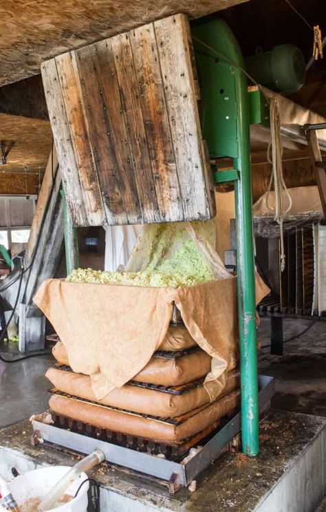 Apple Cider Press, Apple Danish, Making Apple Pie, Apple Press, Cider Press, Homemade Apple Cider, Cider Making, Hard Cider, Homemade Apple