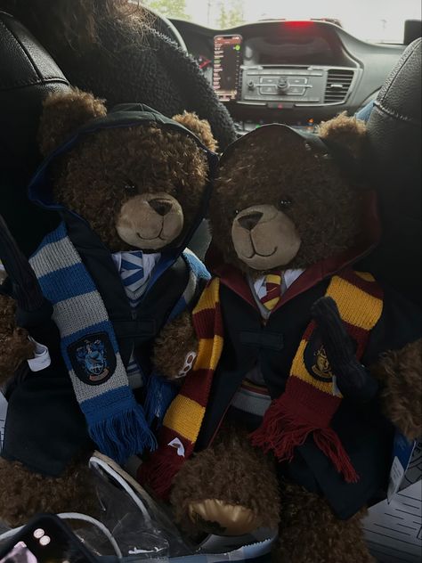 Griffindor X Ravenclaw, Harry Potter Build A Bear, Gryffindor And Ravenclaw, You Are My Moon, Hogwarts Dr, Harry Potter Items, Harry Potter Room, Harry Potter Aesthetic, Season Of The Witch