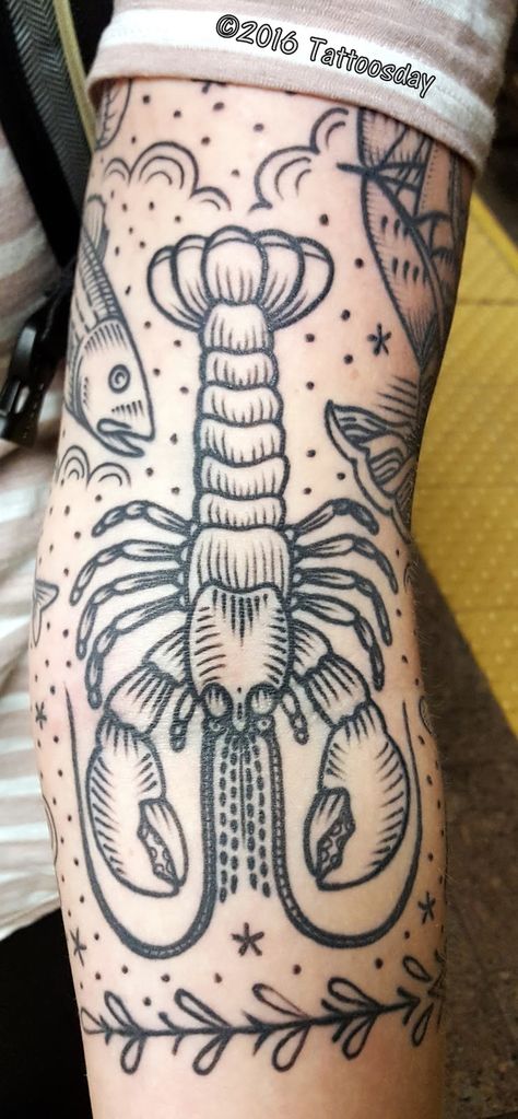 Line Shading Tattoo, Lobster Tattoo Design, Blue Lobster Tattoo, Traditional Lobster Tattoo, Crayfish Tattoo, Traditional Marine Life Tattoo, Underwater Traditional Tattoo, Neotraditional Crab Tattoo, Trilobite Tattoo