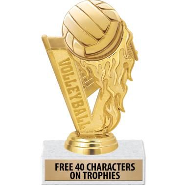 Volleyball Medal, Volleyball Awards, Volleyball Trophy, Softball Trophy, Thropy Award, Trophy Design, Academic Validation, Flame Design, Volleyball Team