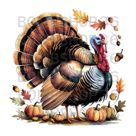 Thanksgiving Turkey Clipart, Turkey Clipart, Diy Thanksgiving Crafts, Thanksgiving Clipart, Turkey Pumpkin, Diy Thanksgiving, Thanksgiving Crafts, Art Clipart, Thanksgiving Turkey