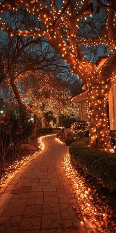 Outdoor Tree Lighting, Forest Theme Wedding, Enchanted Forest Wedding, Patio String Lights, Dream Wedding Decorations, Outdoor Trees, Backyard Lighting, Pretty Landscapes, Garden Designs