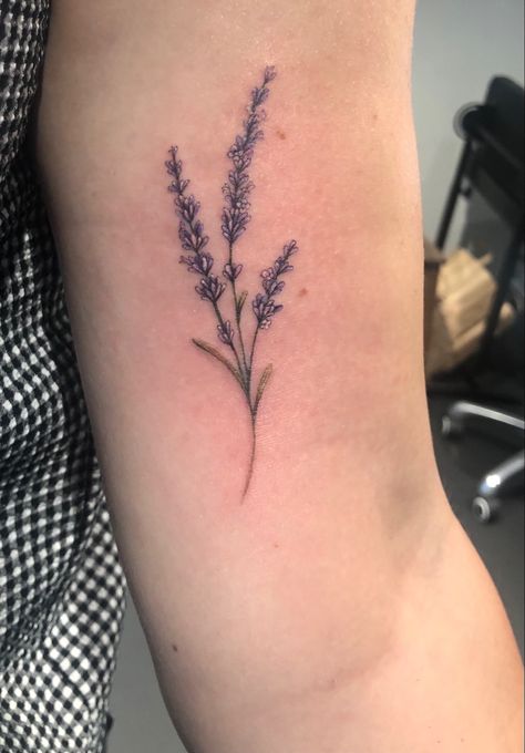 Lavender Stalk Tattoo, Lavender Branch Tattoo, Lavender Tattoo Wrist, Lavender Tattoo Design, January Tattoo, Lavender Tattoo, Fineline Tattoo, Branch Tattoo, Epic Tattoo