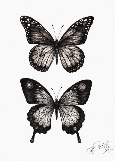 Butterfly Detail Drawing, Detailed Butterfly Tattoo Design, Detailed Animal Tattoos, Butterfly Drawing Detailed, Pencil Butterfly Drawings, Dark Butterfly Drawing, Dark Butterfly Tattoo Coverup, Butterfly Realism Tattoo, Butterfly Ink Drawing