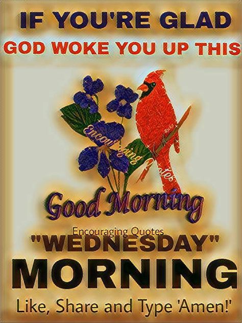 If you're glad God woke you up this. Good Morning Wednesday Wake Up Wednesday Quotes, God Woke You Up This Morning, Wednesday Pictures, Morning Wednesday, Good Morning Wednesday, Wednesday Quotes, Happy Good Morning Quotes, Encouraging Quotes, Wednesday Morning