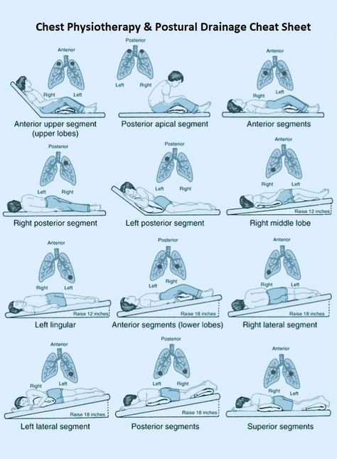 Postural Drainage Positions and Chest Physiotherapy (CPT) Study Guide Postural Drainage and Chest Physiotherapy (CPT) are types of Airway Clearance Therapy. This study guide will help you learn the Postural Drainage Positions. Mucus Clearing Techniques That Alleviate Shortness of Breath Mucus can result in difficulty breathing and shortness of breath. Read these helpful tips for clearing mucus and breathing easier Chest Physiotherapy, Postural Drainage, Physiotherapy Student, Nursing Interview, Physical Therapy School, Medical Drawings, Physical Therapy Student, Natural Decongestant, Bad Cough