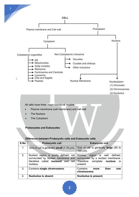 Short notes and key points of class 9 biology chapter-Cell |Physics Wallah Class 9 Science Notes Biology Cell, Class 9 Notes Biology, Cell Class 9 Notes, Cell Notes Biology Class 9, Class 9 Science Notes Biology, Bio Notes Aesthetic, Notes Of Biology, Biology Notes Aesthetic, Class 11 Biology Notes