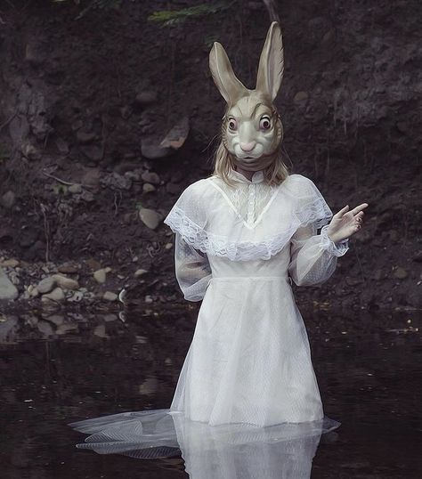 Mona Awad, Creepy Cute Aesthetic, Rabbit Mask, Creepy Halloween Costumes, Bunny Book, Rabbit Costume, Bunny Mask, Scary Halloween Costumes, Scary Costumes