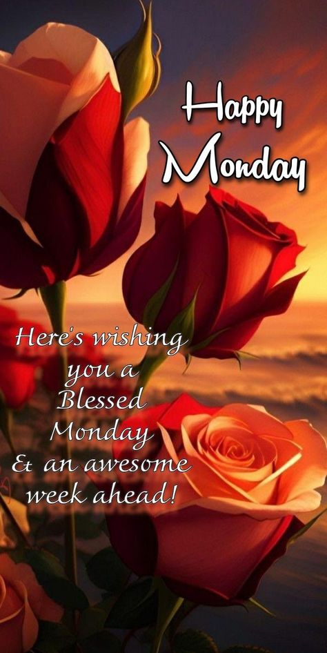 Monday Morning Greetings, Monday Morning Blessing, Happy Monday Images, Monday Wishes, Good Morning Monday Images, Happy Monday Quotes, Monday Morning Quotes, Inspirational Good Morning Messages, Good Monday Morning