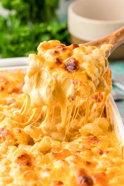 Mac N Cheese Baked Recipe, Tini Mac Snd Cheese, Award Winning Macaroni And Cheese, Mac And Cheese With Shells, Tini Mac And Cheese, Creamy Mac N Cheese Recipe, 3 Cheese Mac N Cheese, One Pan Mac And Cheese, Corkscrew Pasta