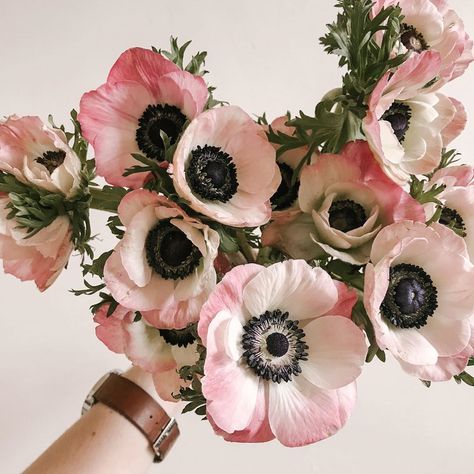 Blush Anemone, Pink Anemone, Anemone Bouquet, Blush Bouquet, Anemone Flower, Anemone, Blush Pink, Wedding Flowers, Floral Wreath