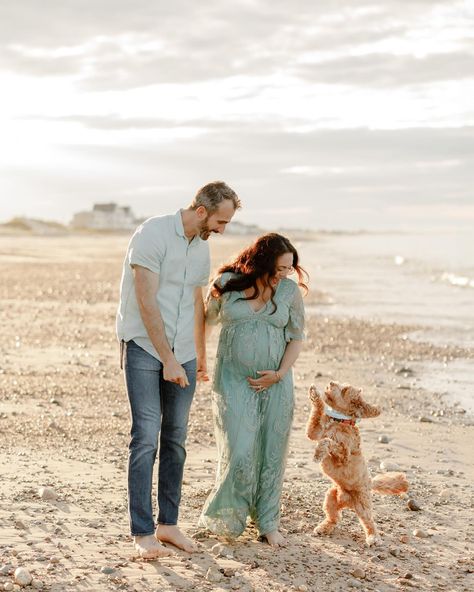 A maternity session for the books, such gorgeous light, such a sweet couple, and the cutest little pup!! @thelikesofleah Maternity Casual, Casual Maternity, Sweet Couple, Maternity Session, The Cutest, Books