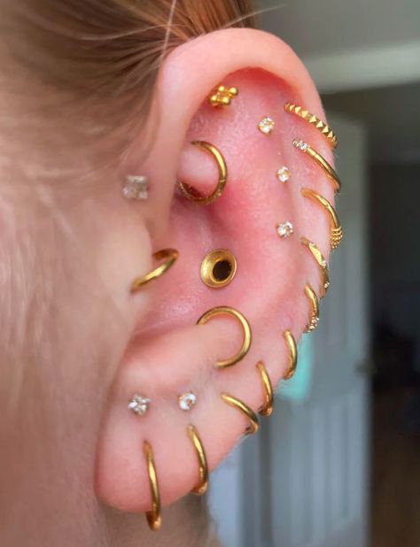 😍Dazzlingly gorgeous setup! Dream Jewelry, A Fan, Ear Piercings, Piercings, Fan