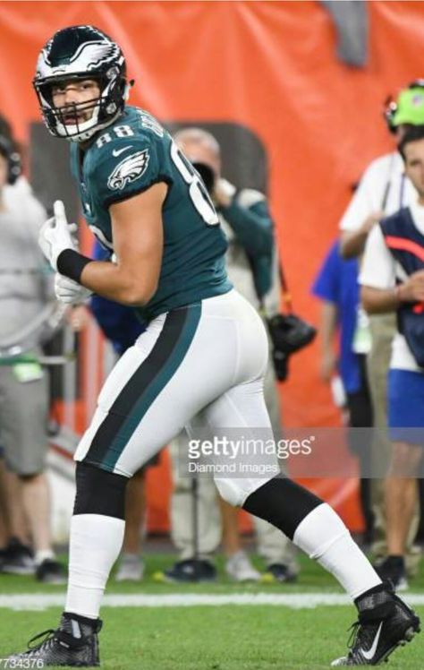 DALLAS GOEDERT TE Dallas Goedert, Birds Of Prey, Philadelphia Eagles, Football Helmets, Eagles, Philadelphia, Dallas, Birds, Football